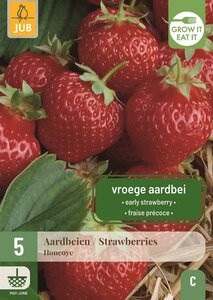 Aardbeienplanten Honeoye