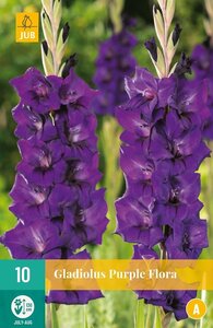 Gladiool purple flora - afbeelding 1