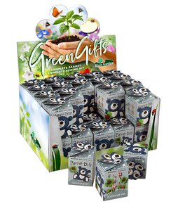 Greengift happy bear blauw in showdoos