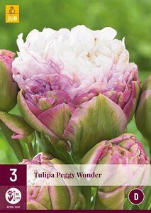 Tulp peggy wonder 3 bollen